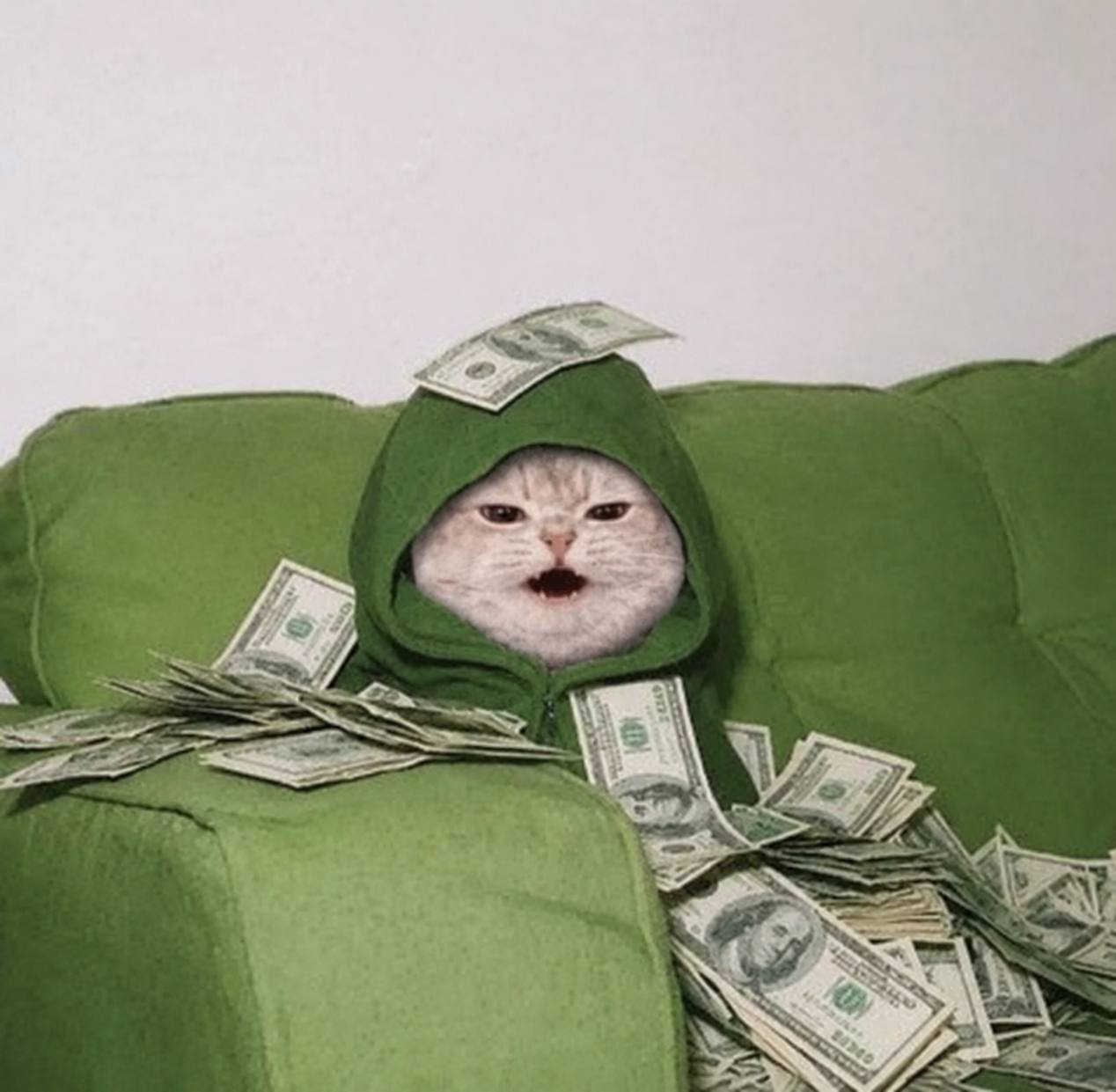 Money hoodie